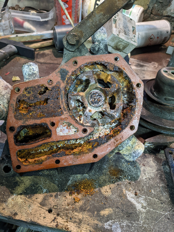 PXL_20221113_162952985