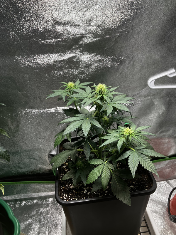 F65DAD30-196B-4214-AF72-2E7DE523FA68