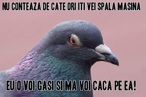 11887939_893424194070430_5313993508077687740_n