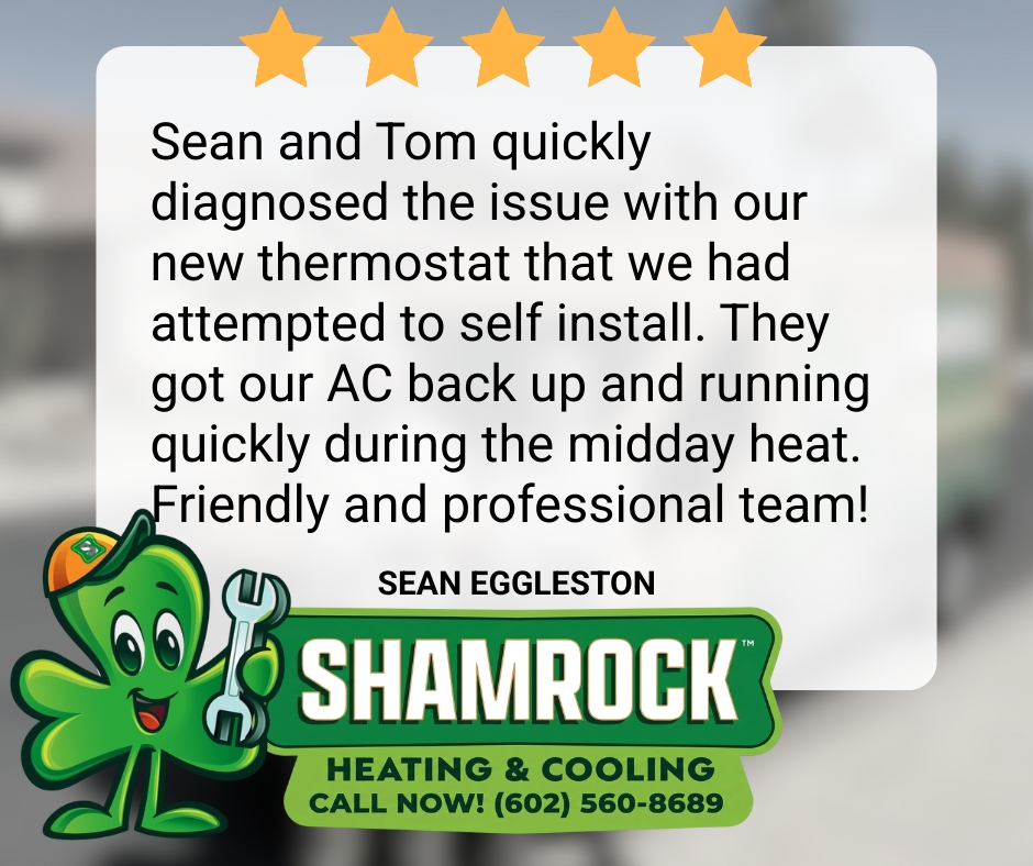 Sham Rockreviews 12072025 235