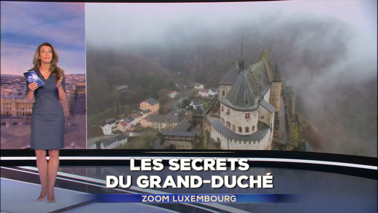 2022-01-09_13_00_TF1_Le-13h.mp4_snapshot_04.51.201