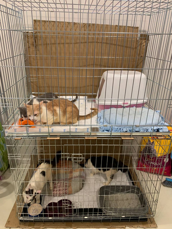 188DD3AE-1602-4949-9E25-9E229EC93CBB