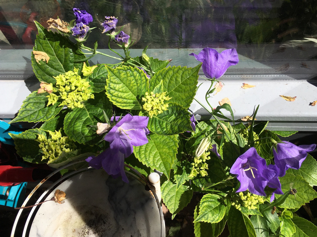 40003B00-D075-4176-821C-39CBADCE6C67