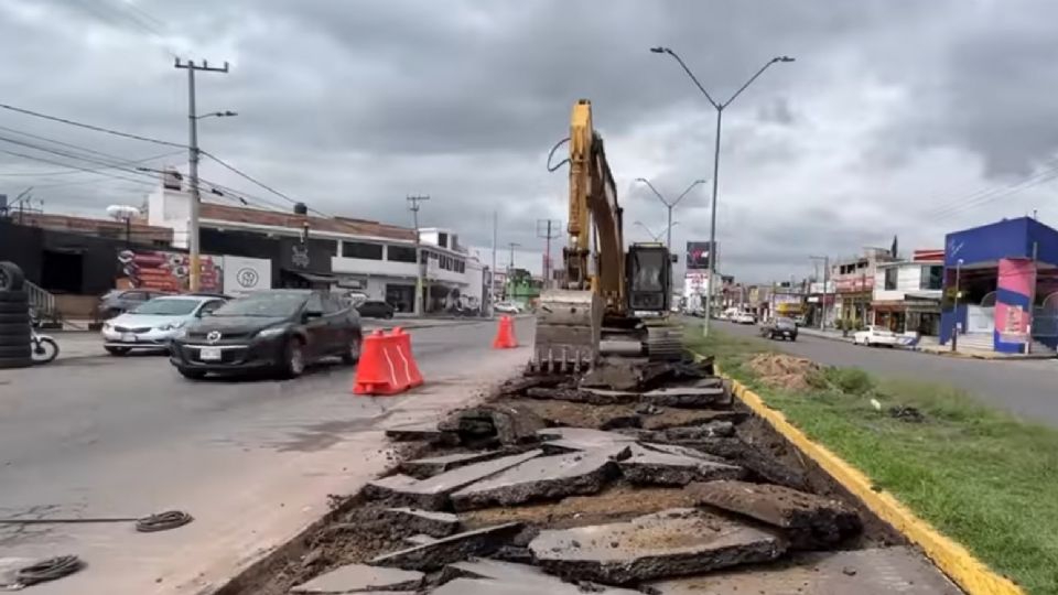 ¿A qué costo?: Por obras de Trolebús Chalco-Santa Martha derriban más de 670 árboles