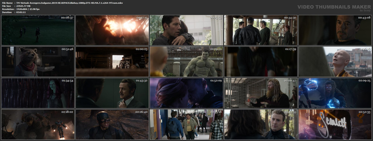 TM-Vietsub-Avengers-Endgame-2019-Vi-E-REPACK-Blu-Ray-1080p-DTS-HD-MA-7-1-x264-MTeam-mkv.jpg