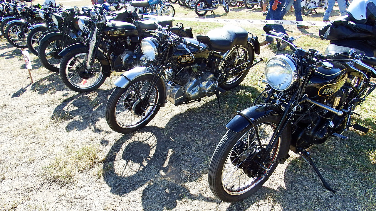 IMAGE: https://i.postimg.cc/Sx74P4M5/Harvest-Classic-HRD-2.jpg