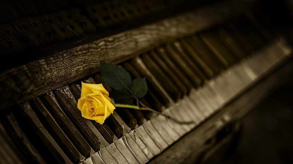 yellow-rose-piano-1239729-1280.jpg