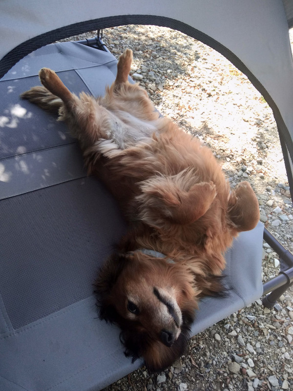 [Image: IMG-20220510-114553.jpg]