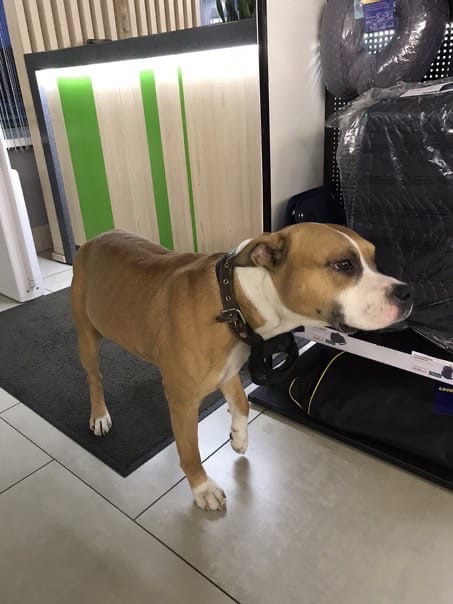 DE1B8FF6-B6CC-4223-A5FF-BF38F29CDA46