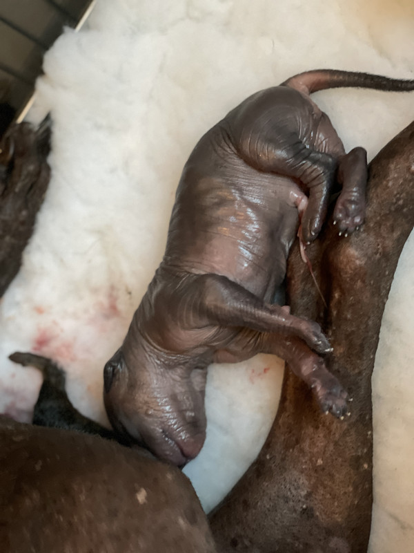 84948C95-88AE-4233-9701-0811837C4FA6