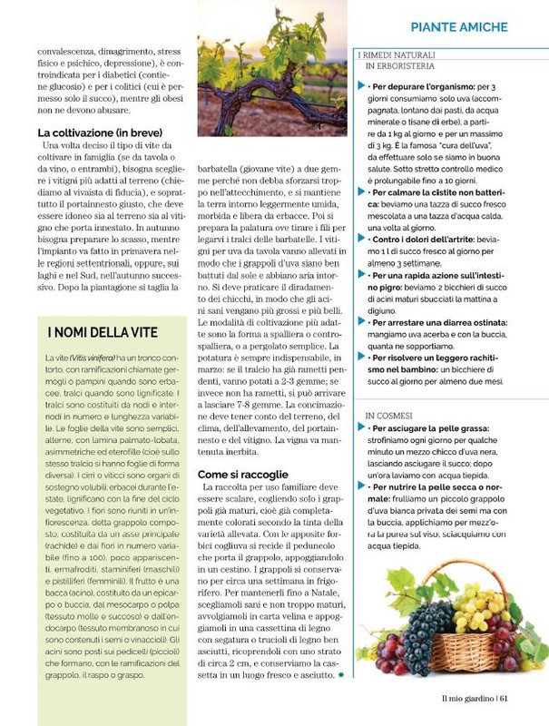 Il Mio Giar Ott-Nov 2022 (12)