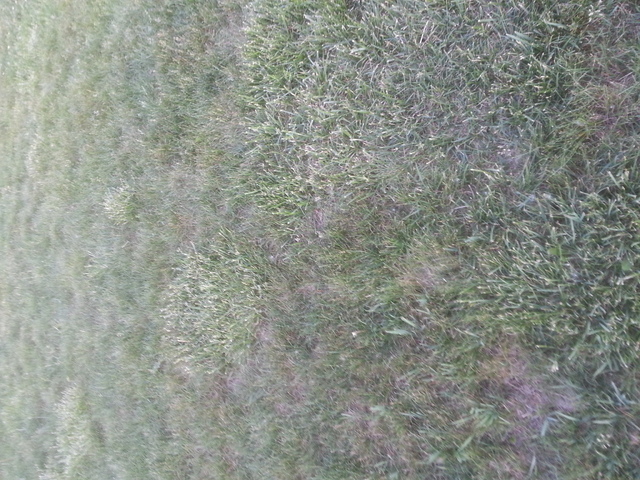 tmp_20140605_203432-1125589985