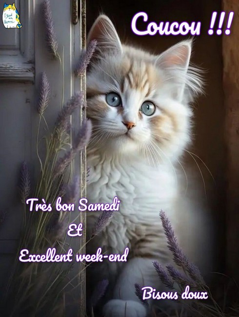 bbde6ff45dd8e4aaf7974cc7c806cae9