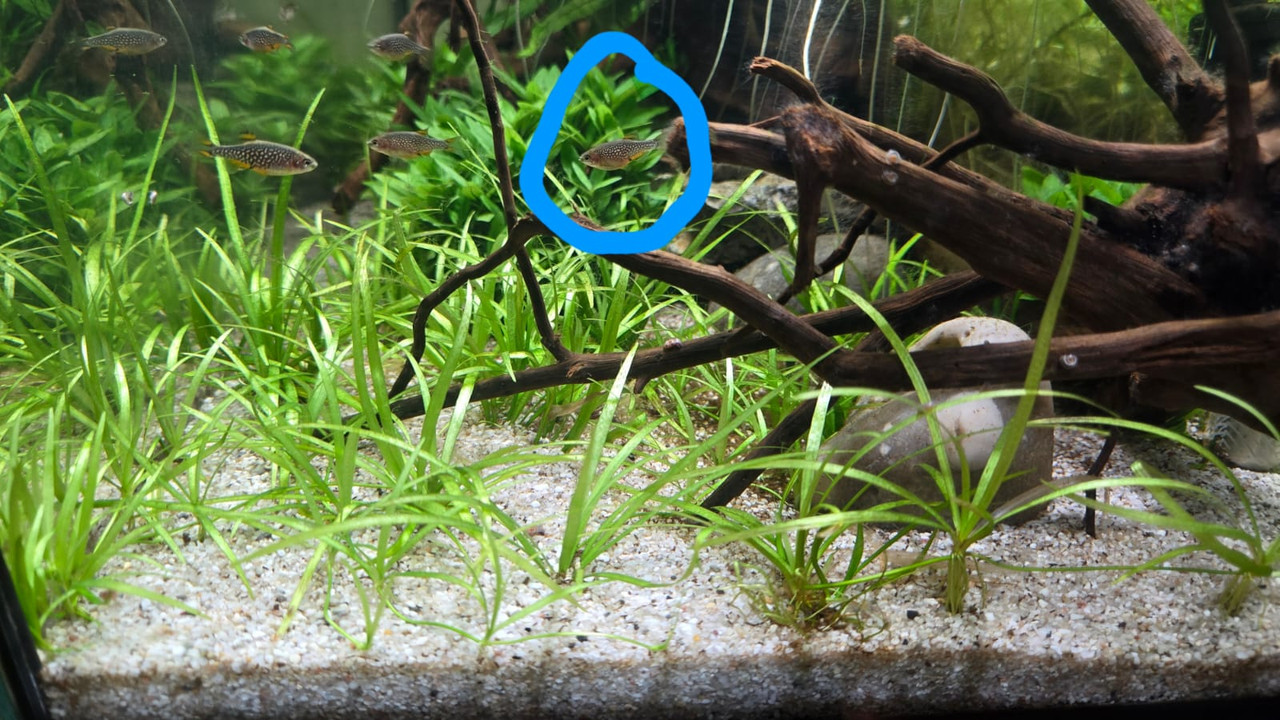 Whats App Image 2025 12 09 at 19 06 03