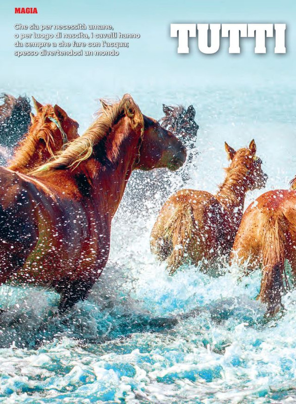 Il Mio Cav (Lug 2022) 1