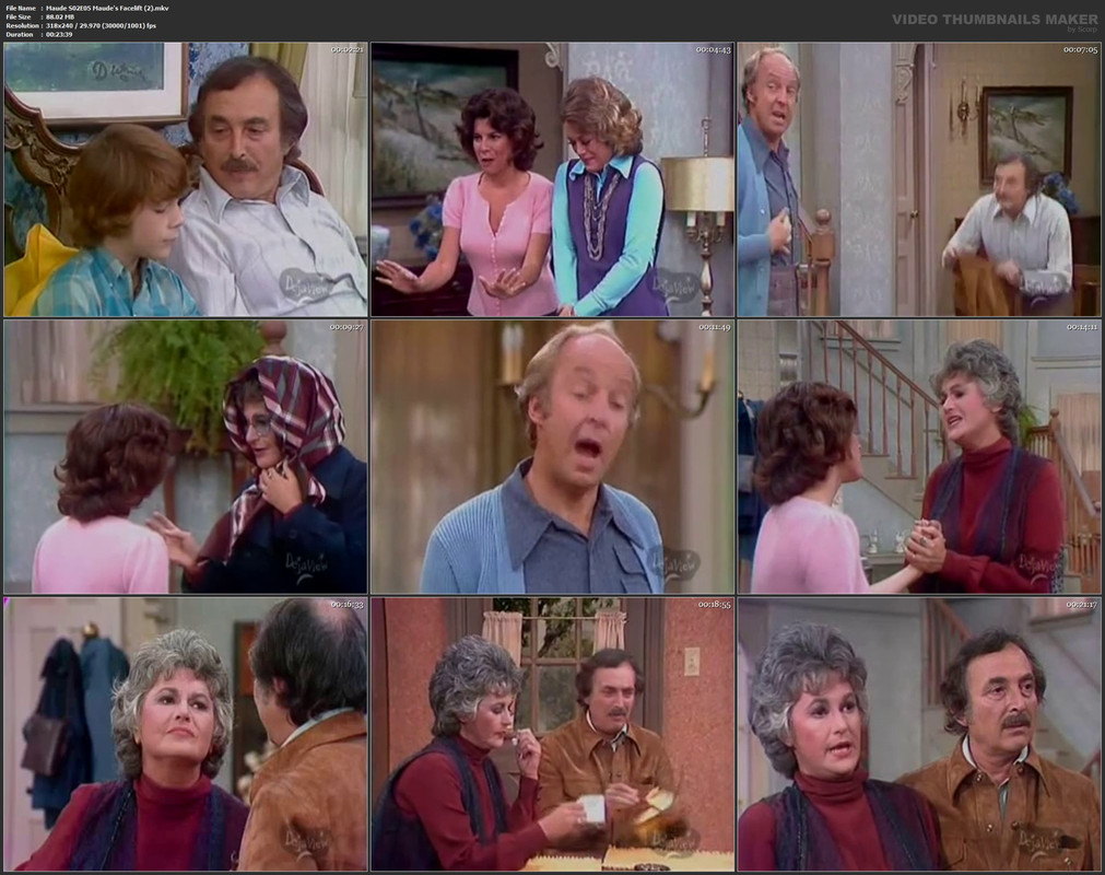 Maude S02E05 Maude's Facelift (2).mkv