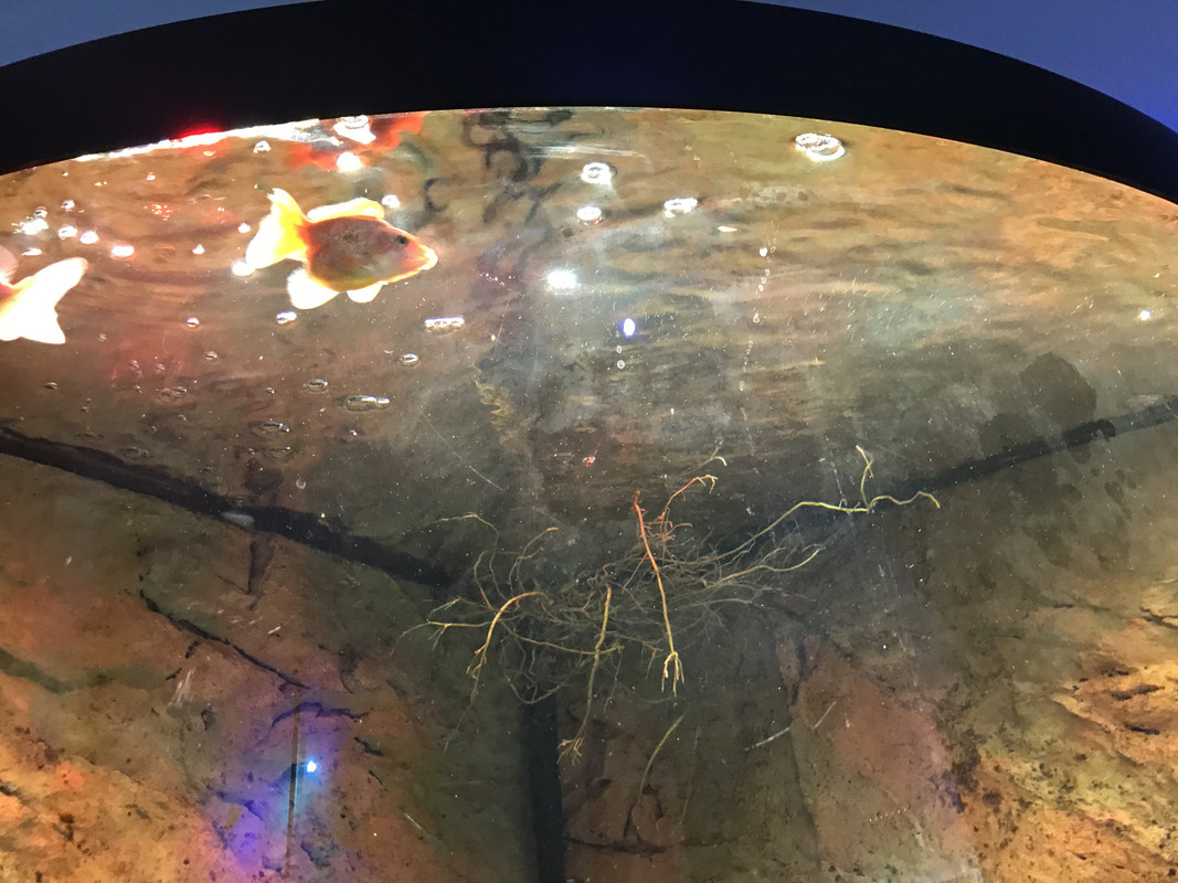 1C5E1542-0954-4C26-8059-8A6219C53E99