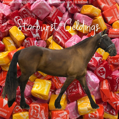 D7DC5FE5-A91A-4F8B-BE43-5356A20F0DCE