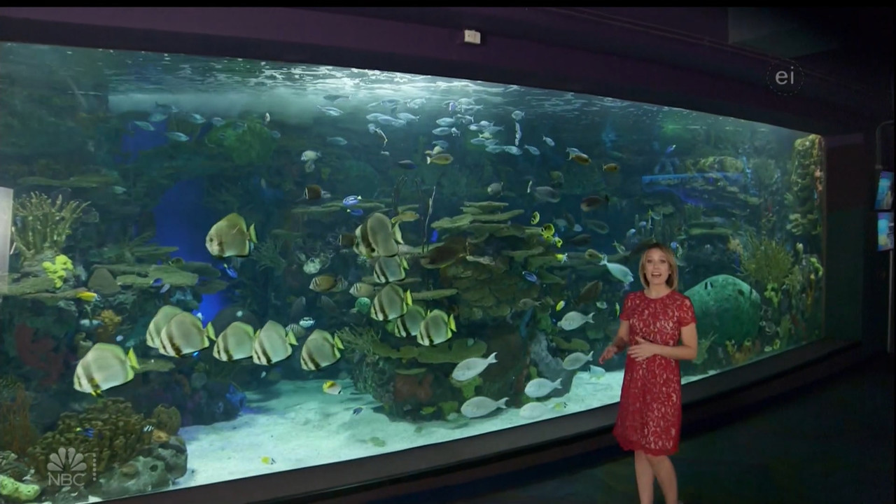 11.07 - 15.00.00 - Earth Odyssey With Dylan Dreyer. The world's smart....ts_snapshot_01.05.06.448