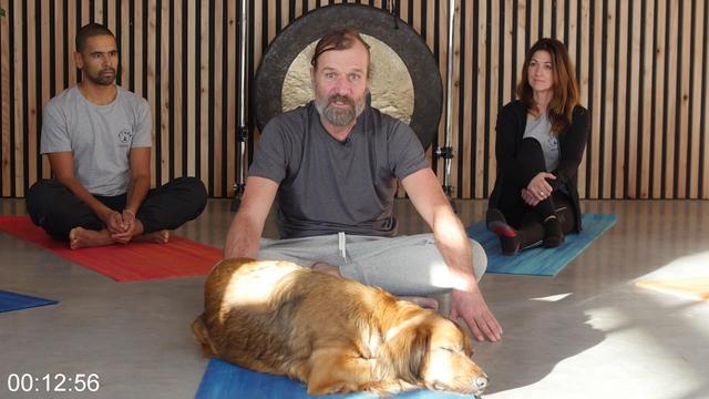 [Image: G-PWim-Hof-Fundamentals.jpg]