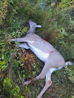 78B18AFA-8686-48F0-B989-BCF77823B2CD