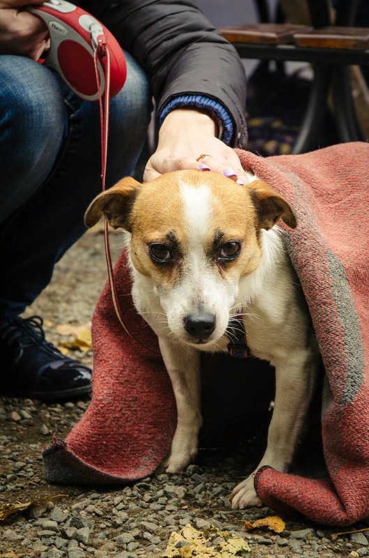 21023502-EDA4-47E5-983A-C53B1C539B6A