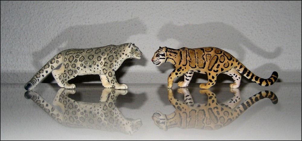 Repainted Schleich Snow Leopard, a surprise gift from Alain! Schleich-snow-leopard-repainted-alain-safari-clouded