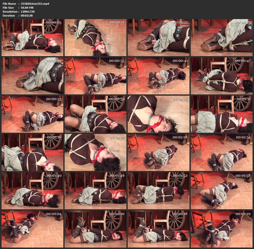 355Bd42sm355.mp4