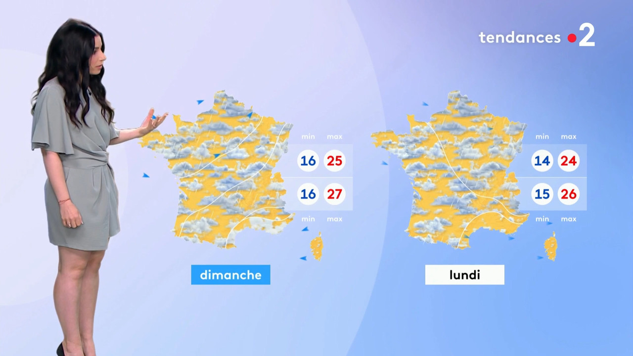 2021-07-20_20_35_Fr2_Meteo.mp4_snapshot_08.43.223
