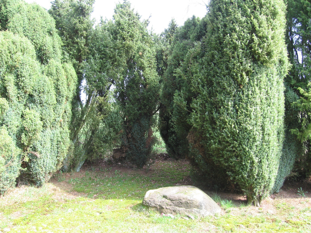 Arno-Schmidt-Grave