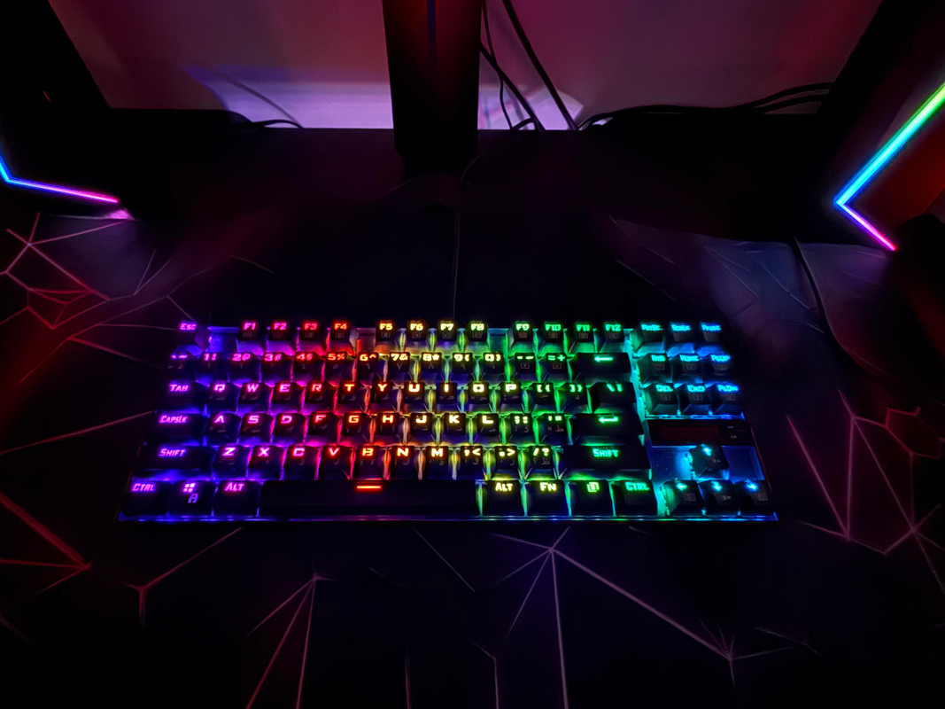 WhatsApp Image 2025-10-11 at 6.56.30 PM