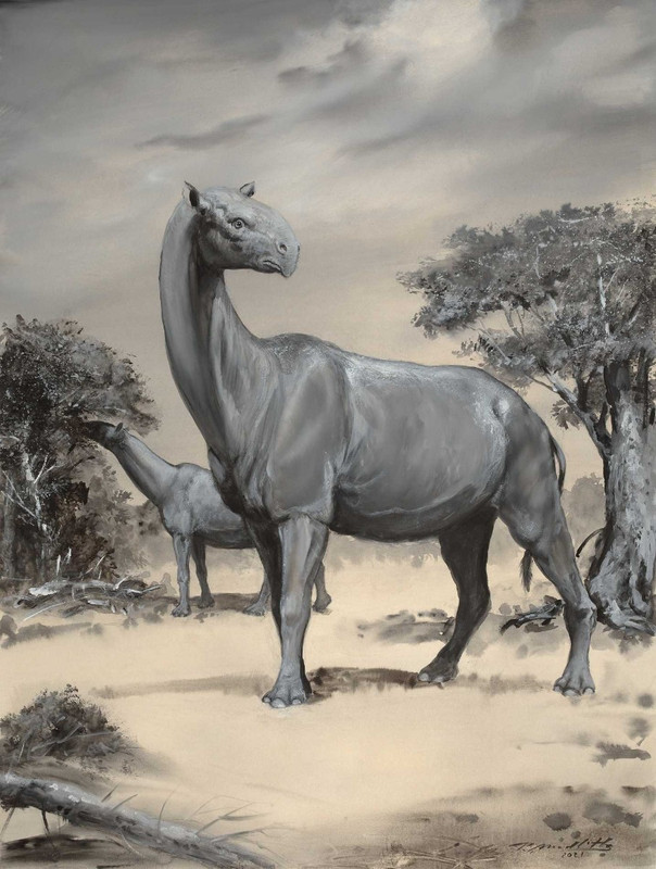 paraceratherium_transouralicum_indricotherium_-_kvas_na_kartonu_405_x_31_cm_2021__gouache_on_cardboa