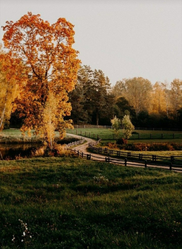 Screenshot_20231112_162518_Pinterest