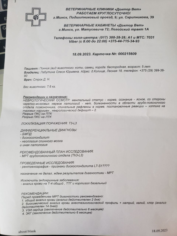 photo_2023-09-18_13-44-14 (2)