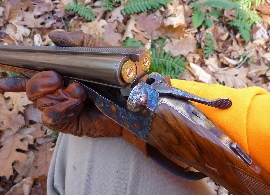 2011-11-19 3 Ruffed Grouse - DHE 20
