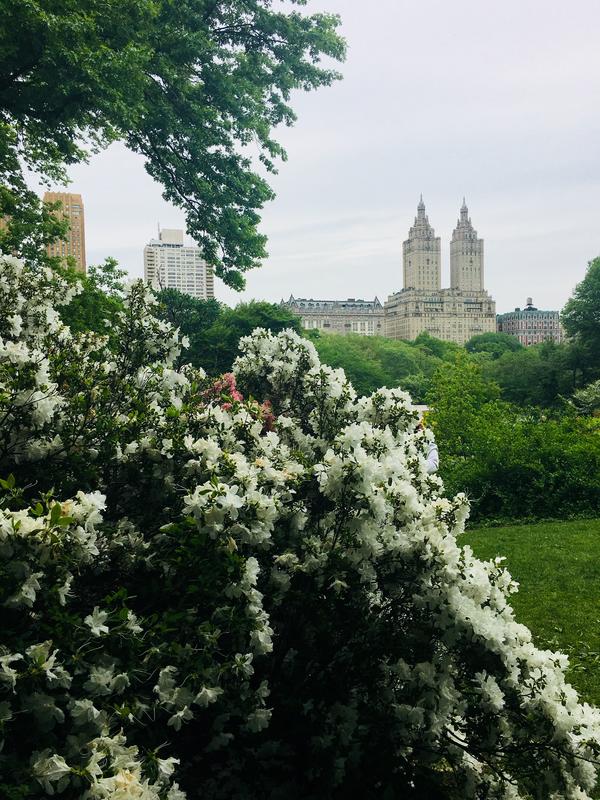 35E484A8-3ECE-495C-81C4-47EE1EBC8E4E