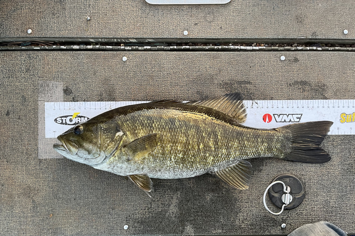 What do you generally find to be the magic number in regards to water