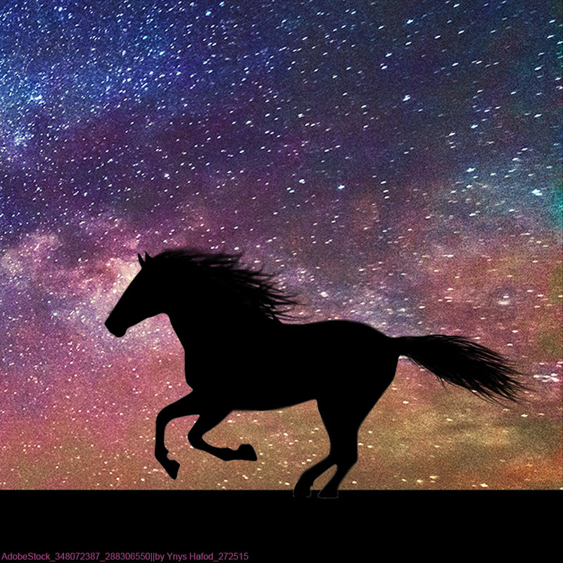 Starry-Night-1-1000.jpg