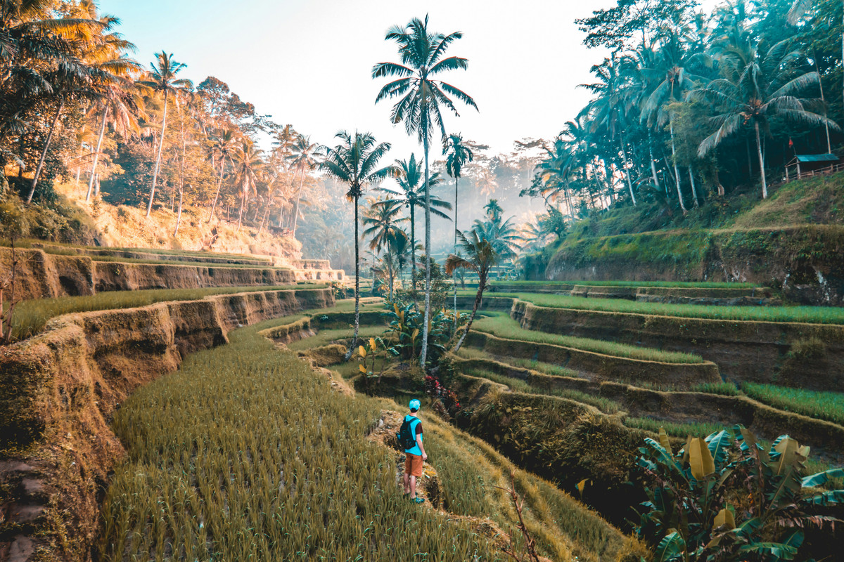 Travel
							Insurance