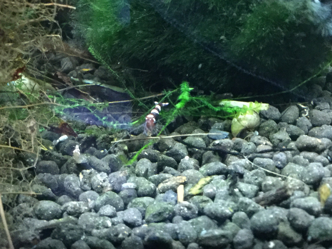 F2DCE1C4-4901-491C-A60B-35B249A7F23E