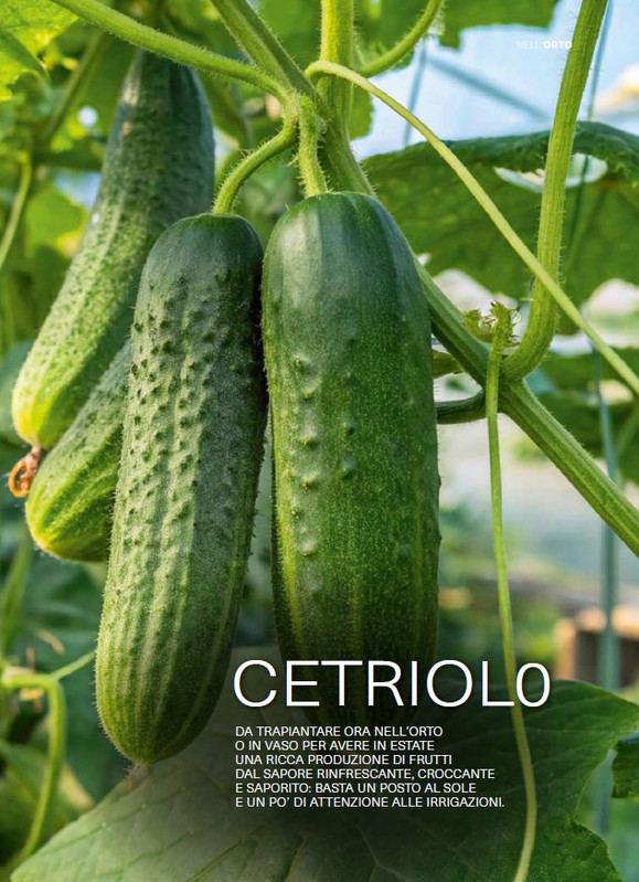 il mio Giar Apr Mag 2026 (12)