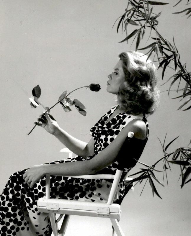 elizabeth montogomery d27