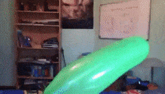 xxxxxxxxxx.gif