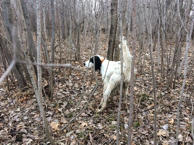 85C4B59A-4A00-48B5-8EDC-38853DDCFCCD