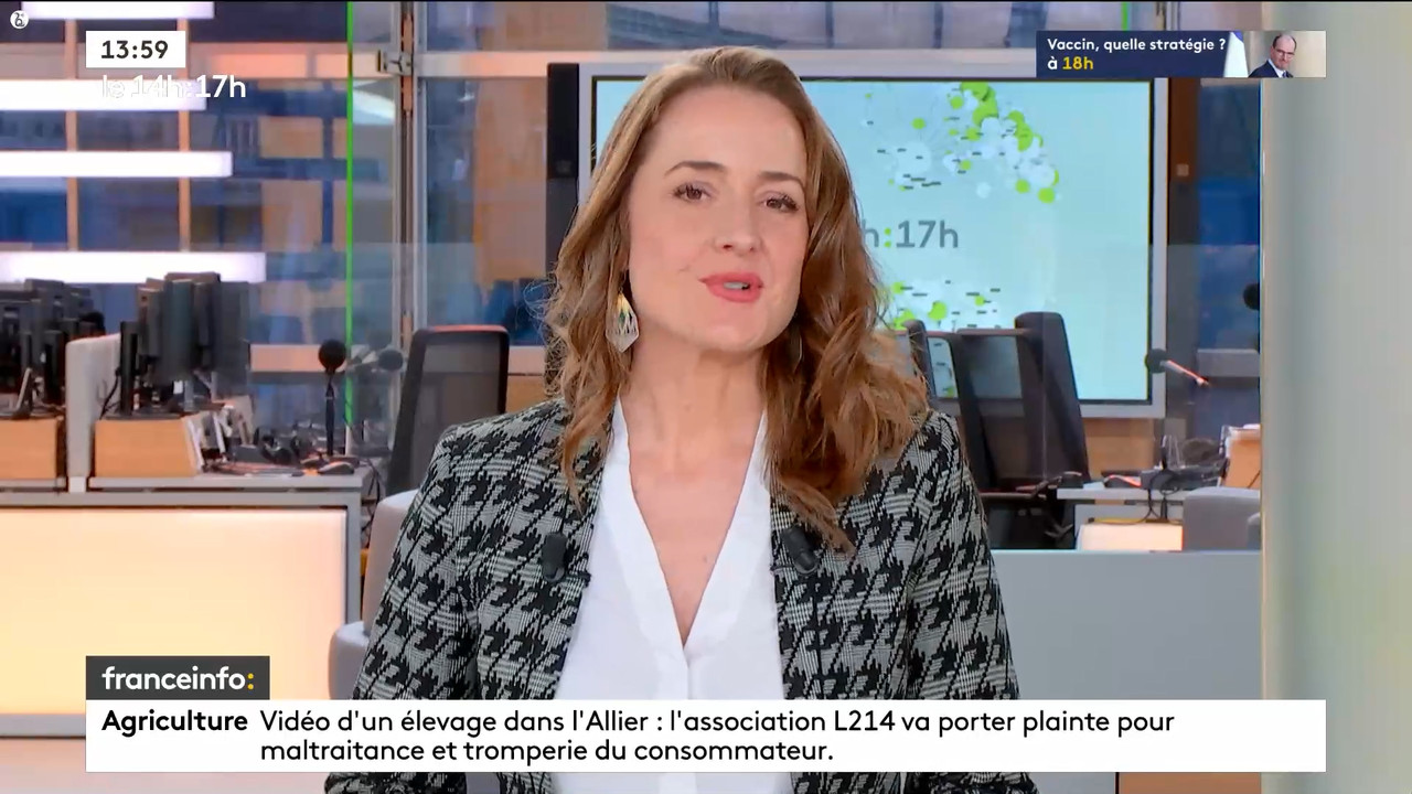 12.03 - 12.59.00 - Le 14h-17h. Au sommaire   Vrai ou fake. - francein....ts_snapshot_00.06.14.157