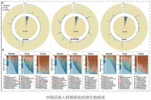 Microbiome：国内科研团队揭示中国汉族人群皮肤微生物组特征-5.png