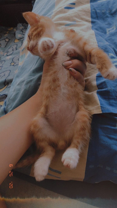 441E0FDD-B660-4D73-ACFA-4968AF44ADE4