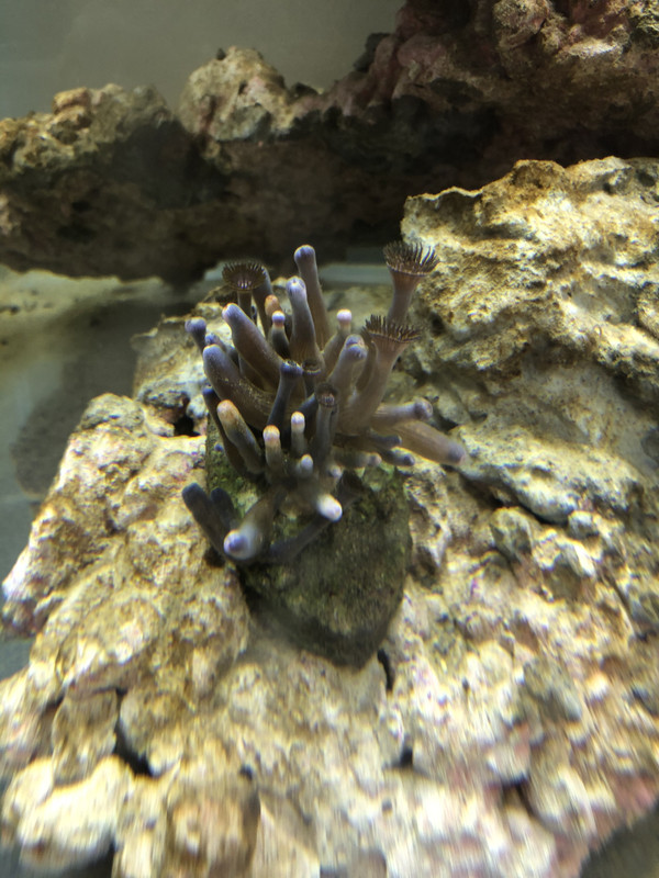 256A5BBC-CE1A-4ACE-BA4E-42A8A8A6DF71