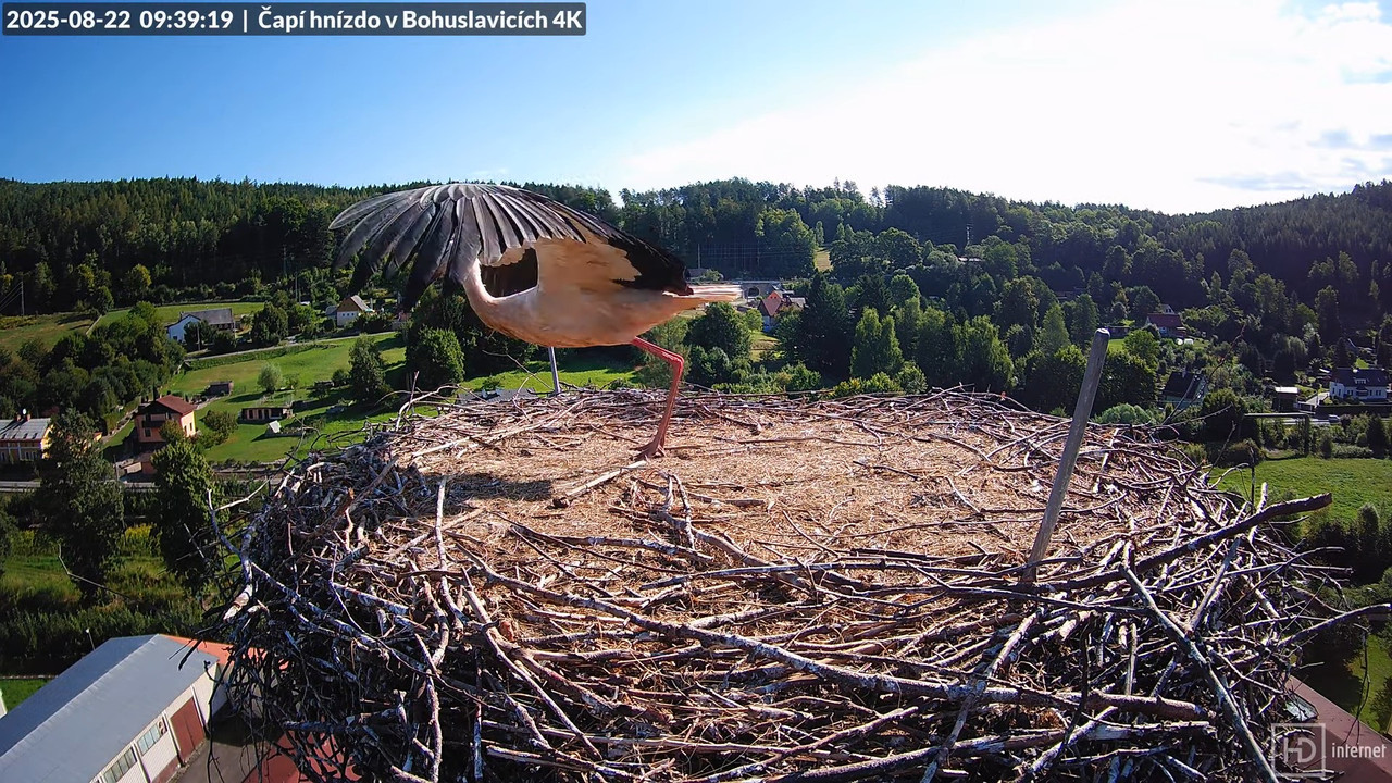 Tiešraide no KARA uzņēmuma stārķu skursteņa Bohuslavicē netālu no Trutnovas 10-39-14 screenshot (1)