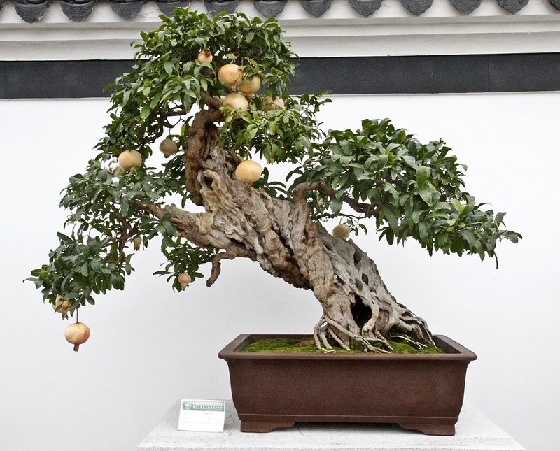 01adb3f85cc5bb80e13ef0791a84bc8a